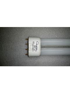 Лампы Cleo Compact PL-L 36 W (спагетти)
