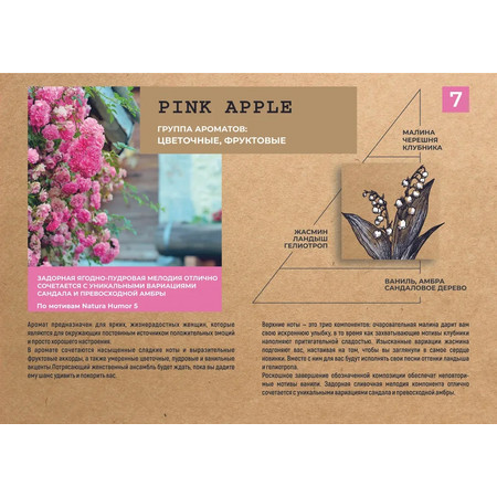 BB One FRAGRANCE CARE Парфюмированный Лосьон для тела и рук Pink Apple 250 мл. 