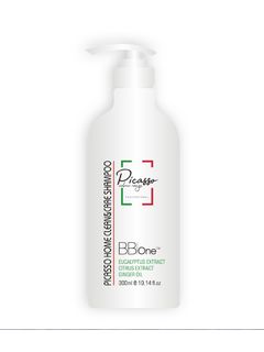 Picasso Home Clean&Care Шампунь для всех типов кожи головы и волос 300мл + дозатор